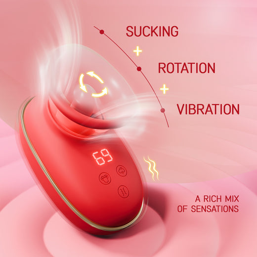 Vibrator
