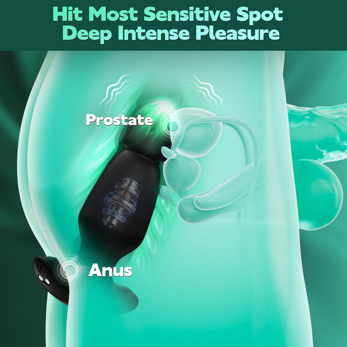 Volt Vibrating Plug Set