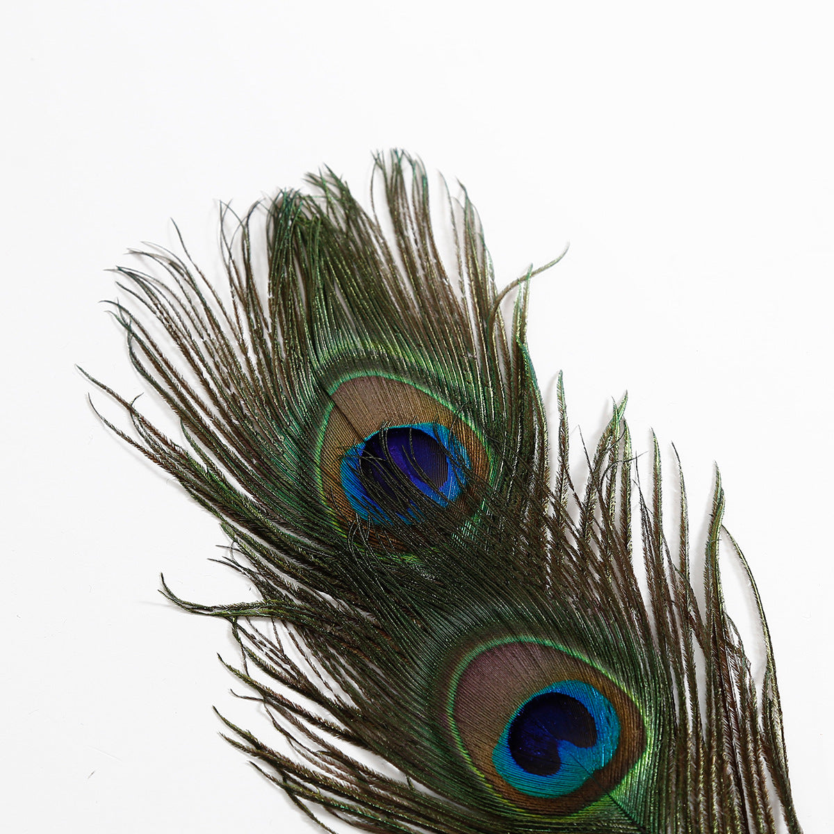 Peacock Feather Tickler