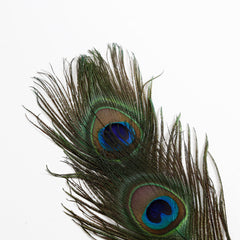 Peacock Feather Tickler