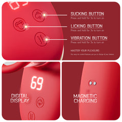 Vibrator
