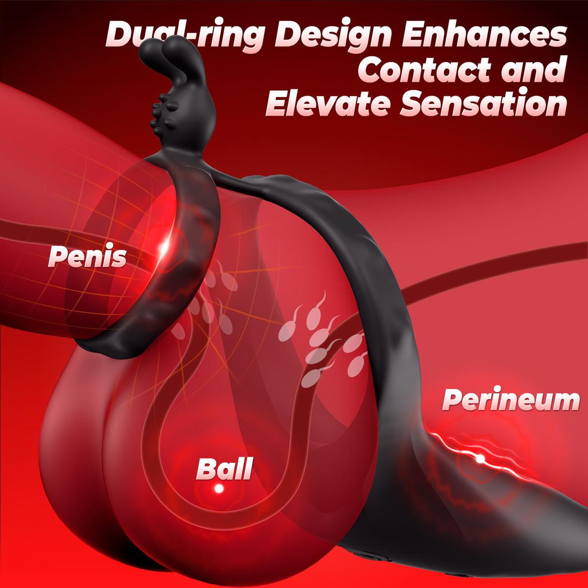 Dual-Ring Contact